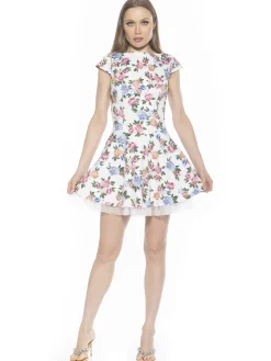 Aleena Dress