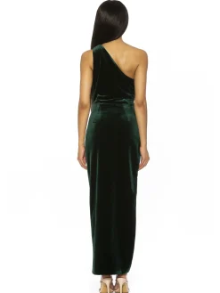 Alessi Velvet Maxi Gown