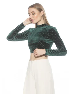 Ari Velvet Top