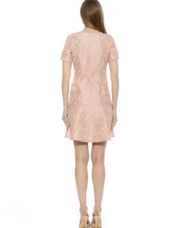 Brecken Lace Dress