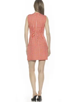 Bridgette Vest Dress