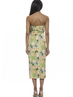 Camden Dress