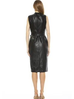 Fara Vegan Leather Dress