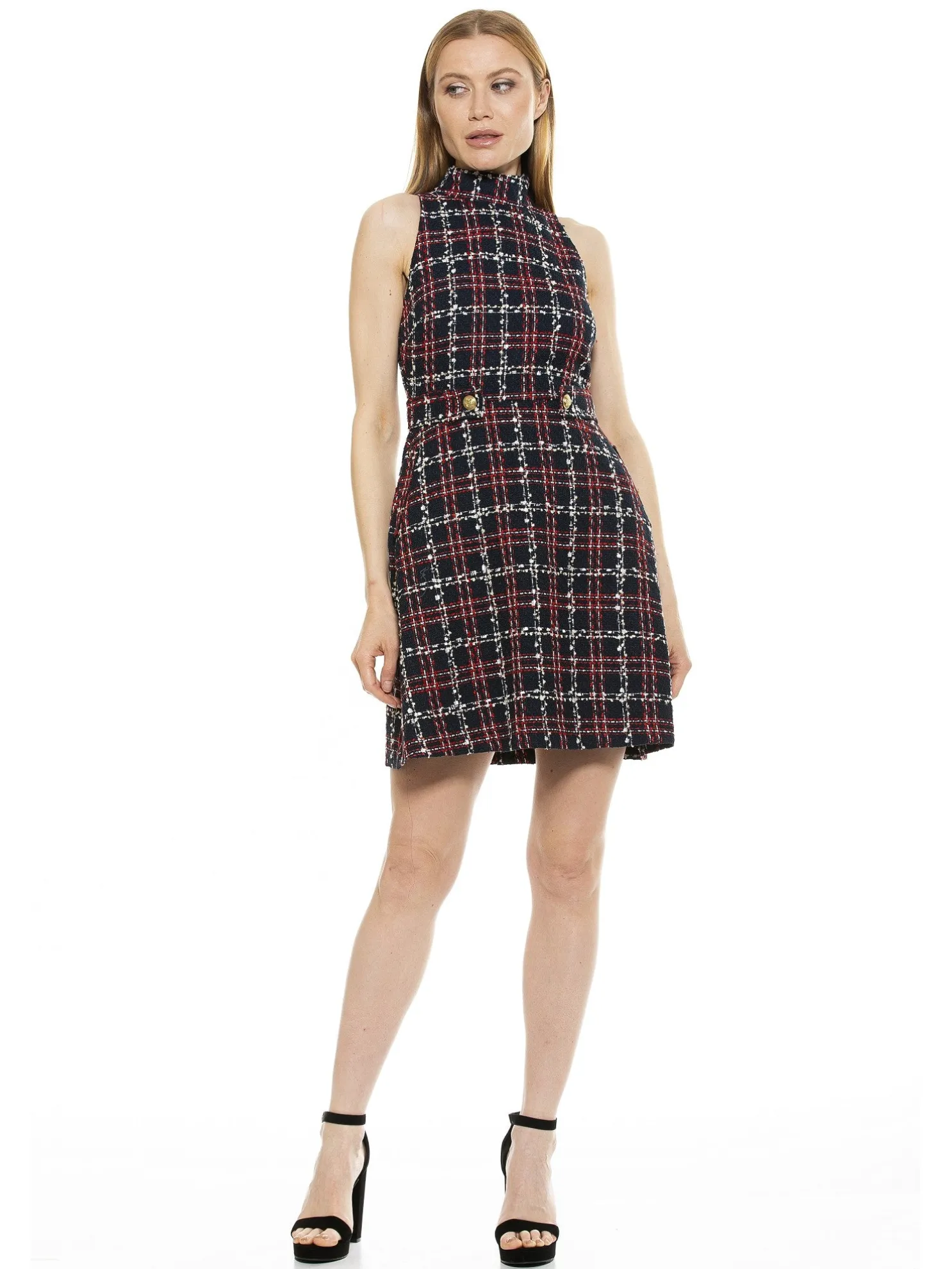 Fit and Flare Dresses | Plaid Dress | ALEXIA ADMOR