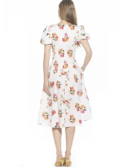 Jessi Dress