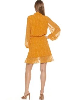 Kathlyn Dress