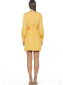 Mini Wrap Dress