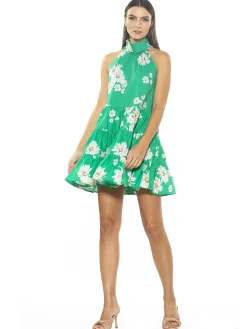 Molly Mini Dress
