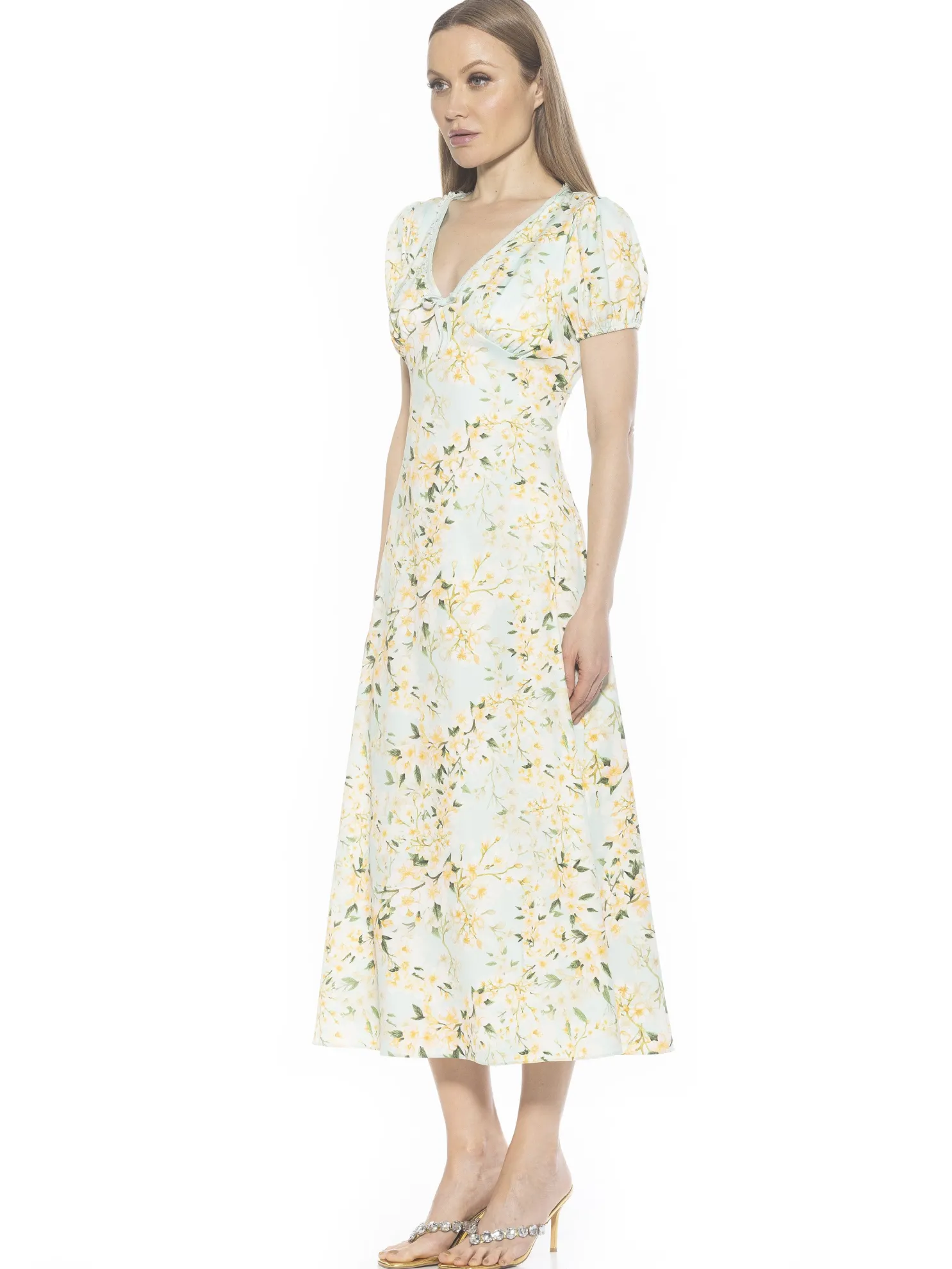 Silvius Dress