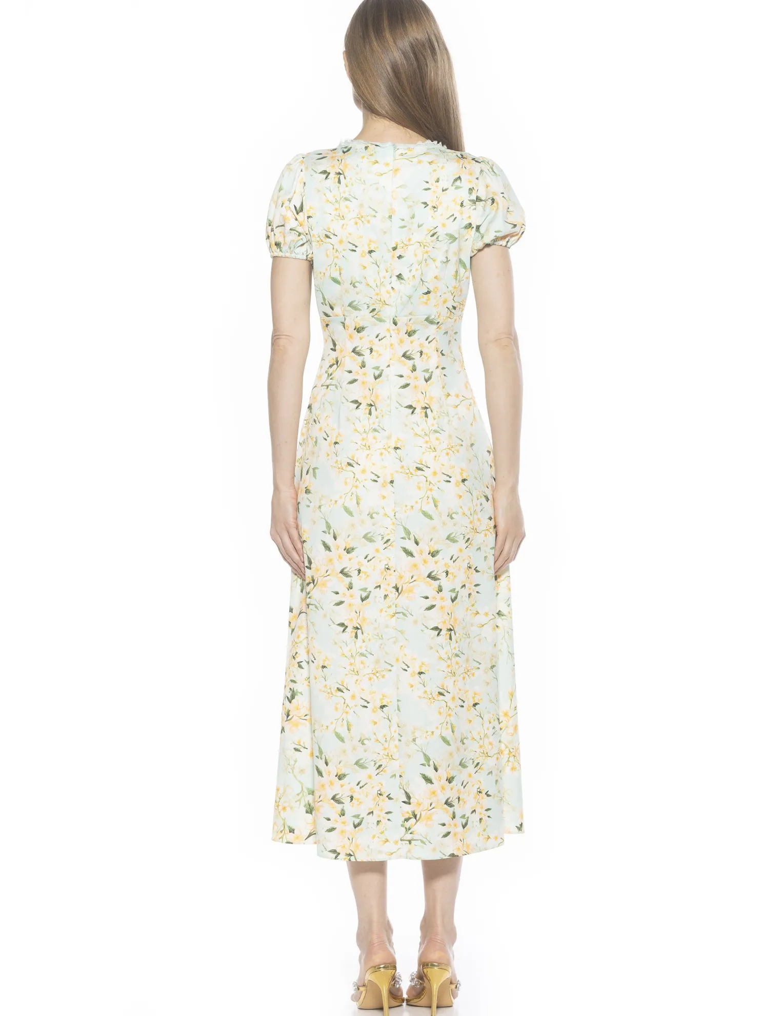 Silvius Dress