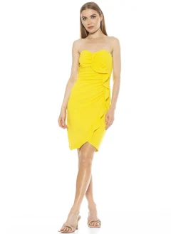 Strapless Mini Dress