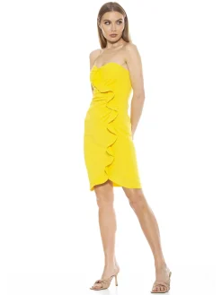 Strapless Mini Dress