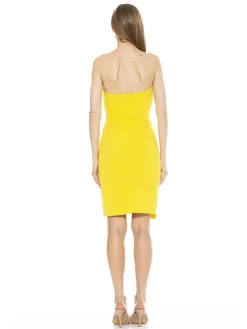 Strapless Mini Dress