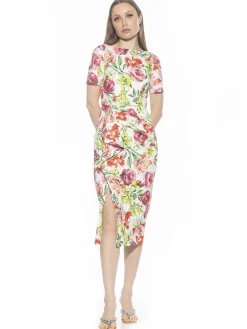 Zayd Dress