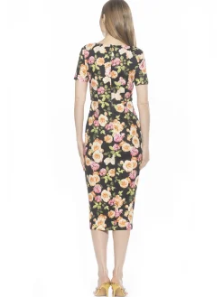 Zayd Dress