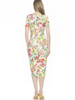 Zayd Dress