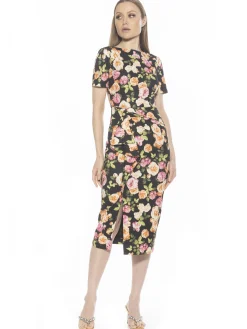 Zayd Dress